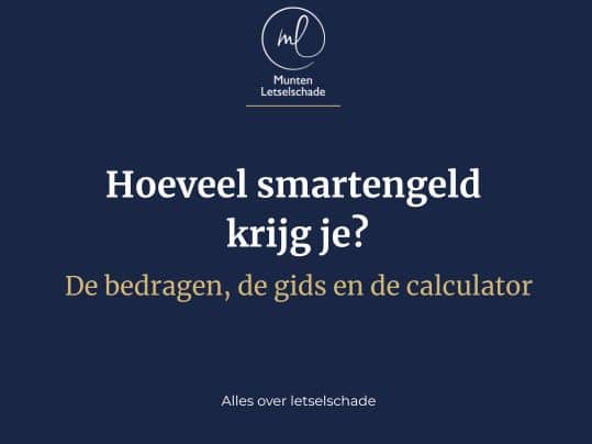 Hero Banner with a Dark Blue Background White Logo at the Top and Dutch Text hoeveel Smartengeld Krijg Je De Bedragen De Gids En De Calculator Plus a Smaller Line alles over Letselschade  Indicating a Guidecalculator About Compensation for Personal Injury  Letselschadeadvocaat Oisterwijk